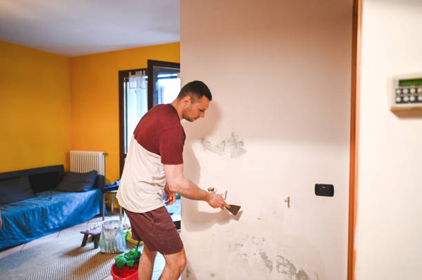 Best Affordable Mold Removal  in Highland, NY